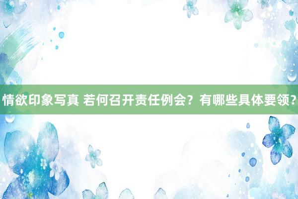 情欲印象写真 若何召开责任例会？有哪些具体要领？
