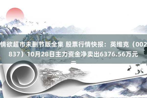 情欲超市未删节版全集 股票行情快报：英维克（002837）10月28日主力资金净卖出6376.56万元