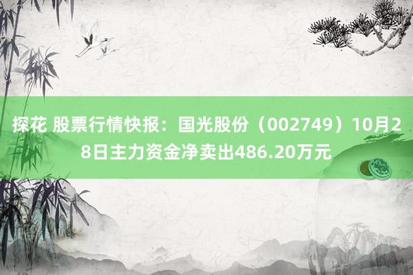探花 股票行情快报：国光股份（002749）10月28日主力资金净卖出486.20万元