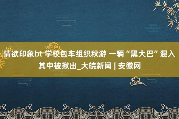 情欲印象bt 学校包车组织秋游 一辆“黑大巴”混入其中被揪出_大皖新闻 | 安徽网