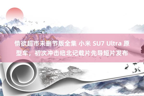 情欲超市未删节版全集 小米 SU7 Ultra 原型车，初次冲击纽北记载片先导短片发布