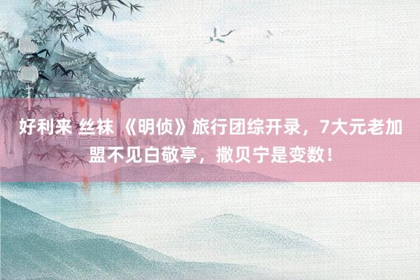好利来 丝袜 《明侦》旅行团综开录，7大元老加盟不见白敬亭，撒贝宁是变数！