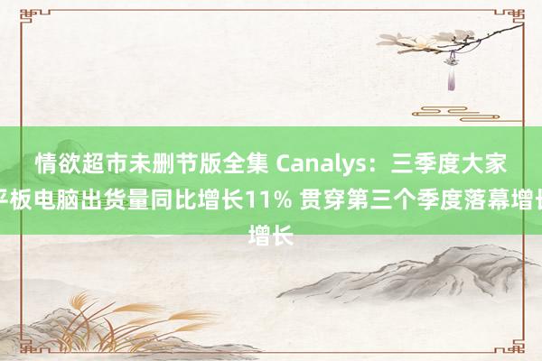 情欲超市未删节版全集 Canalys：三季度大家平板电脑出货量同比增长11% 贯穿第三个季度落幕增长
