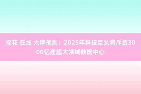 探花 在线 大摩预测：2025年科技巨头将斥资3000亿建超大领域数据中心