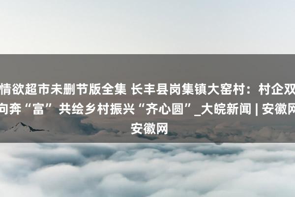 情欲超市未删节版全集 长丰县岗集镇大窑村：村企双向奔“富” 共绘乡村振兴“齐心圆”_大皖新闻 | 安徽网