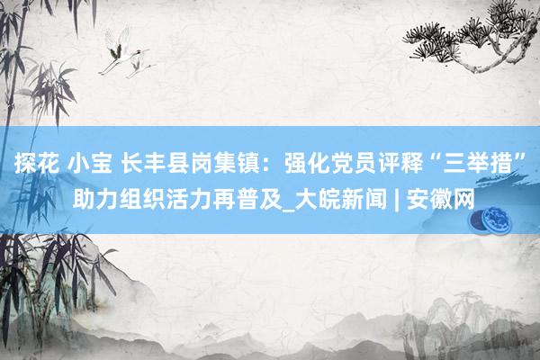 探花 小宝 长丰县岗集镇：强化党员评释“三举措” 助力组织活力再普及_大皖新闻 | 安徽网