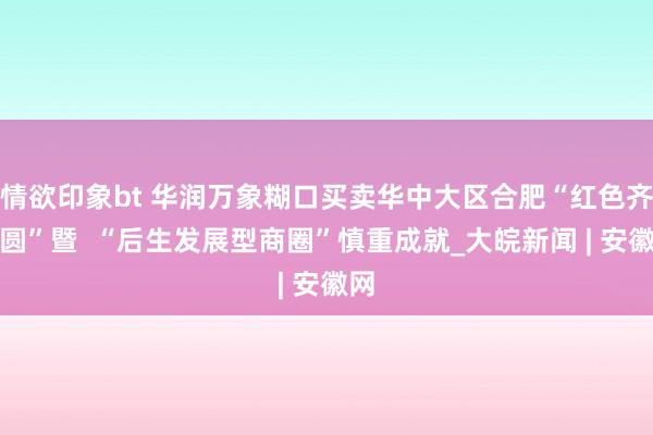 情欲印象bt 华润万象糊口买卖华中大区合肥“红色齐心圆”暨  “后生发展型商圈”慎重成就_大皖新闻 | 安徽网