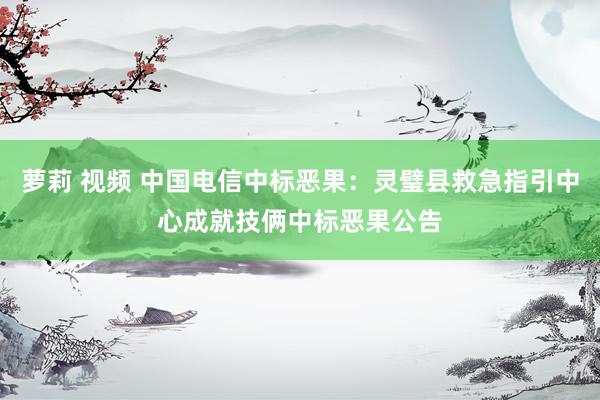 萝莉 视频 中国电信中标恶果：灵璧县救急指引中心成就技俩中标恶果公告