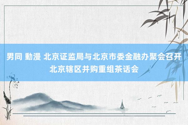 男同 動漫 北京证监局与北京市委金融办聚会召开北京辖区并购重组茶话会