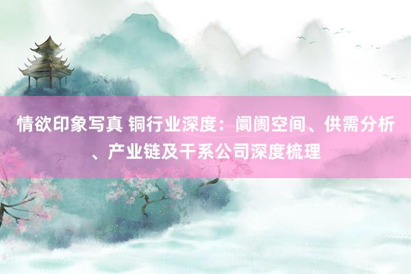 情欲印象写真 铜行业深度：阛阓空间、供需分析、产业链及干系公司深度梳理