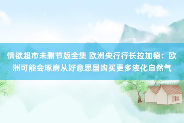 情欲超市未删节版全集 欧洲央行行长拉加德：欧洲可能会琢磨从好意思国购买更多液化自然气