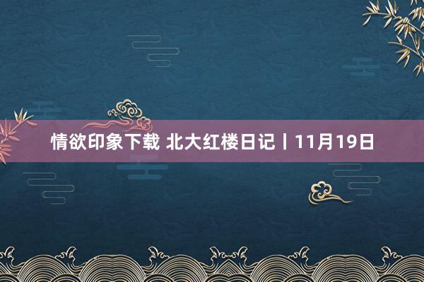 情欲印象下载 北大红楼日记丨11月19日