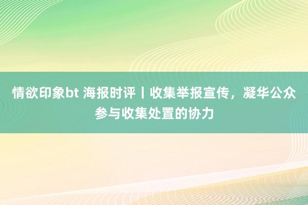 情欲印象bt 海报时评丨收集举报宣传，凝华公众参与收集处置的协力