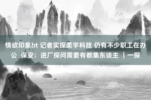 情欲印象bt 记者实探柔宇科技 仍有不少职工在办公  保安：进厂探问需要有都集东谈主 ︱一探