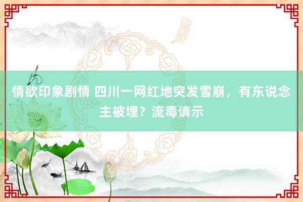 情欲印象剧情 四川一网红地突发雪崩，有东说念主被埋？流毒请示