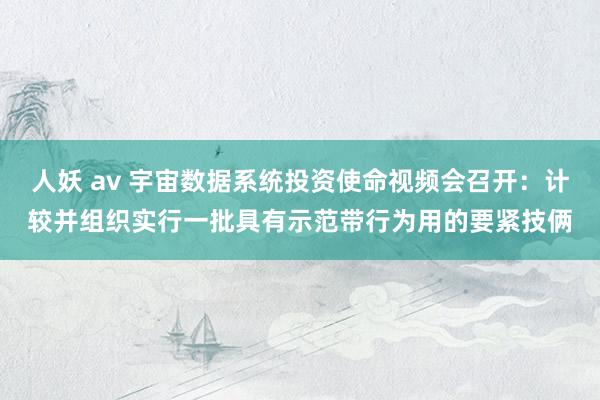 人妖 av 宇宙数据系统投资使命视频会召开：计较并组织实行一批具有示范带行为用的要紧技俩