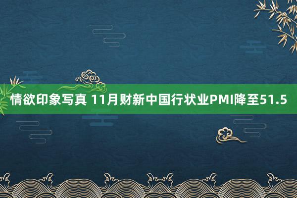 情欲印象写真 11月财新中国行状业PMI降至51.5