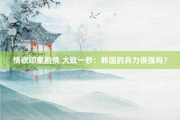 情欲印象剧情 大致一秒：韩国的兵力很强吗？