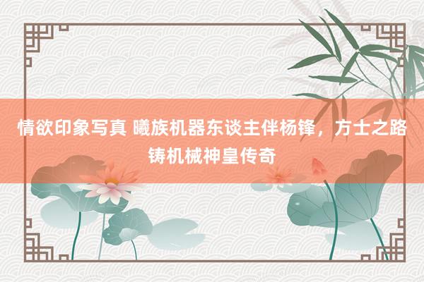 情欲印象写真 曦族机器东谈主伴杨锋，方士之路铸机械神皇传奇
