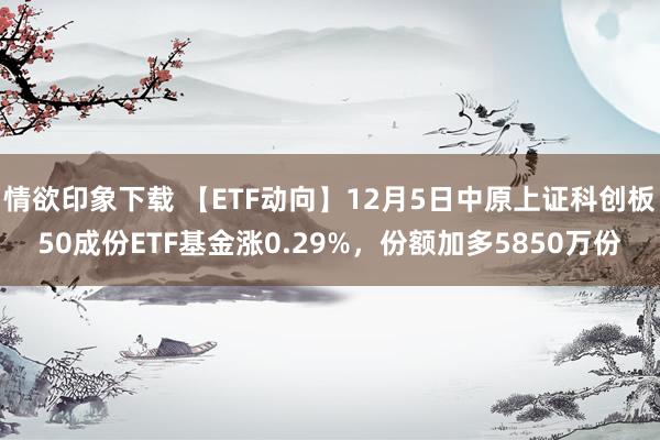 情欲印象下载 【ETF动向】12月5日中原上证科创板50成份ETF基金涨0.29%，份额加多5850万份