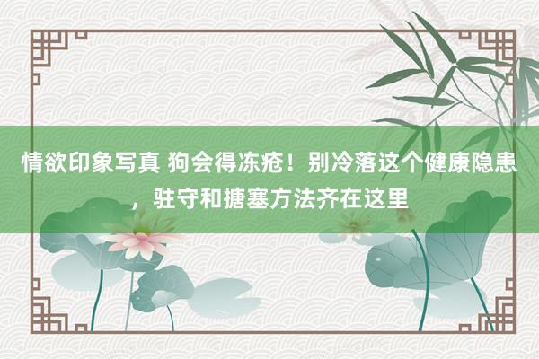 情欲印象写真 狗会得冻疮！别冷落这个健康隐患，驻守和搪塞方法齐在这里