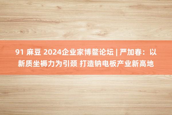 91 麻豆 2024企业家博鳌论坛 | 严加春：以新质坐褥力为引颈 打造钠电板产业新高地