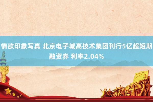 情欲印象写真 北京电子城高技术集团刊行5亿超短期融资券 利率2.04%
