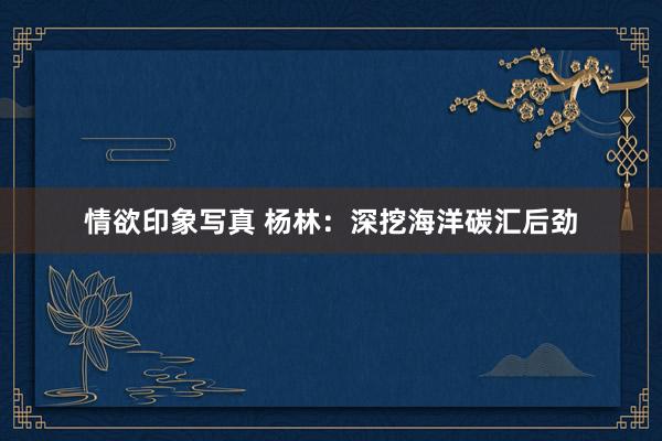 情欲印象写真 杨林：深挖海洋碳汇后劲