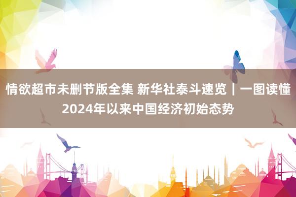 情欲超市未删节版全集 新华社泰斗速览｜一图读懂2024年以来中国经济初始态势