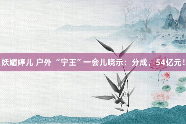 妖媚婷儿 户外 “宁王”一会儿晓示：分成，54亿元！
