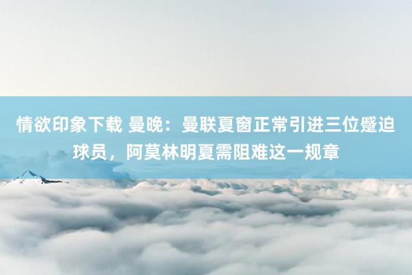 情欲印象下载 曼晚：曼联夏窗正常引进三位蹙迫球员，阿莫林明夏需阻难这一规章