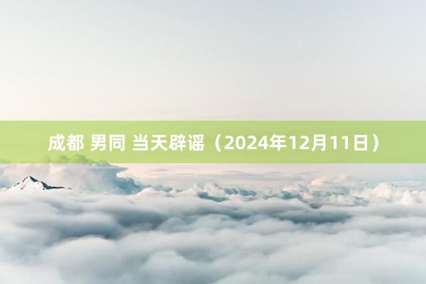 成都 男同 当天辟谣（2024年12月11日）