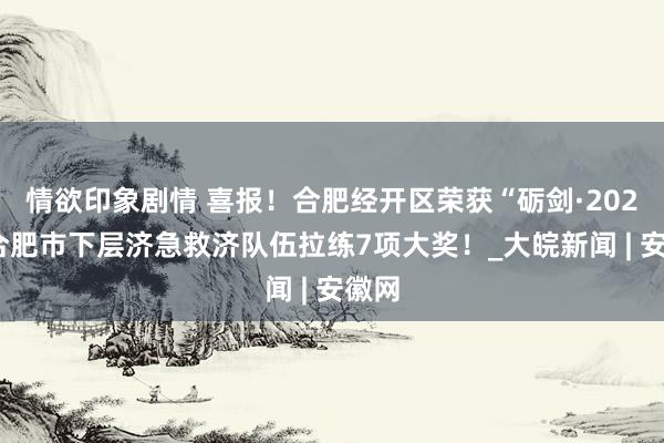 情欲印象剧情 喜报！合肥经开区荣获“砺剑·2024”合肥市下层济急救济队伍拉练7项大奖！_大皖新闻 | 安徽网
