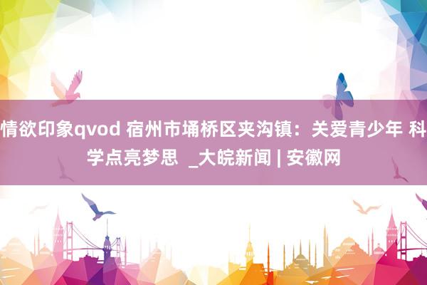 情欲印象qvod 宿州市埇桥区夹沟镇：关爱青少年 科学点亮梦思  _大皖新闻 | 安徽网