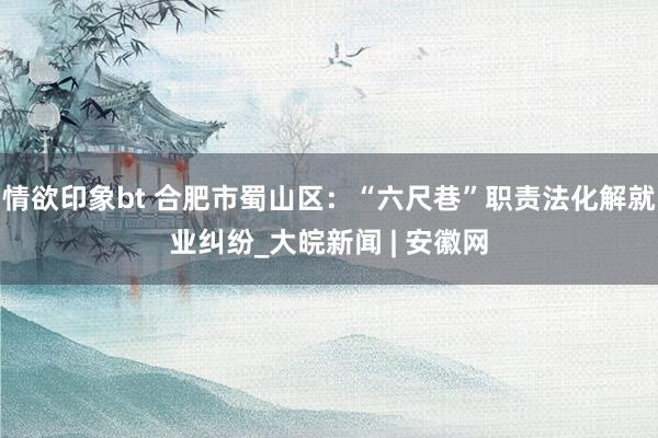情欲印象bt 合肥市蜀山区：“六尺巷”职责法化解就业纠纷_大皖新闻 | 安徽网