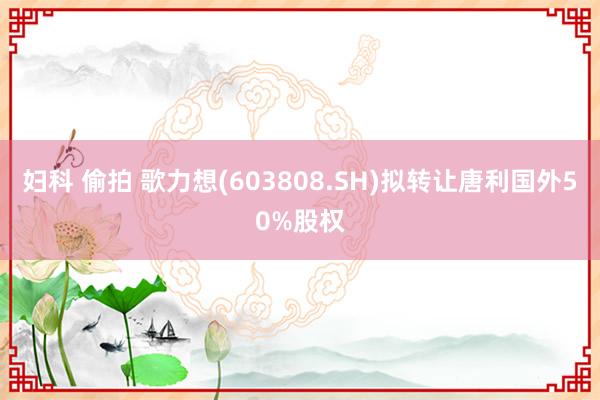 妇科 偷拍 歌力想(603808.SH)拟转让唐利国外50%股权