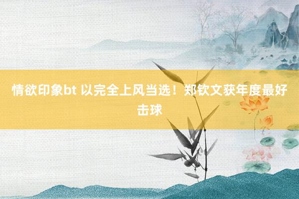 情欲印象bt 以完全上风当选！郑钦文获年度最好击球