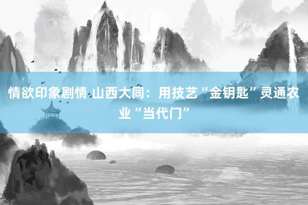 情欲印象剧情 山西大同：用技艺“金钥匙”灵通农业“当代门”