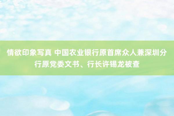 情欲印象写真 中国农业银行原首席众人兼深圳分行原党委文书、行长许锡龙被查