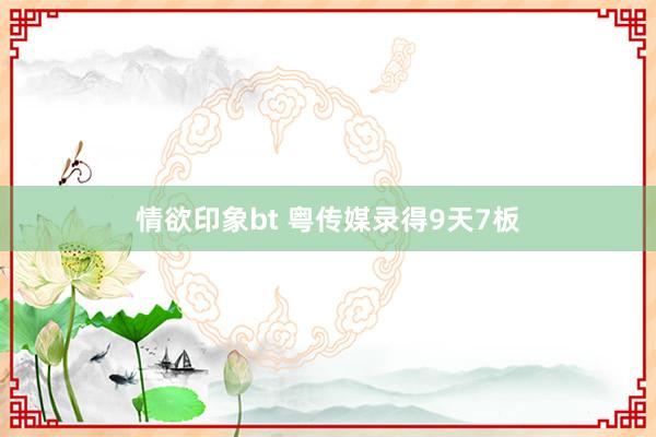 情欲印象bt 粤传媒录得9天7板