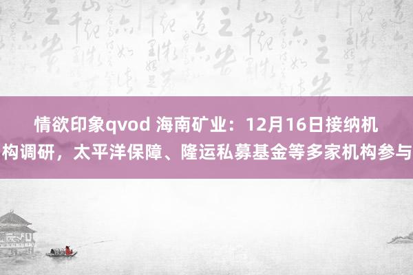 情欲印象qvod 海南矿业：12月16日接纳机构调研，太平洋保障、隆运私募基金等多家机构参与