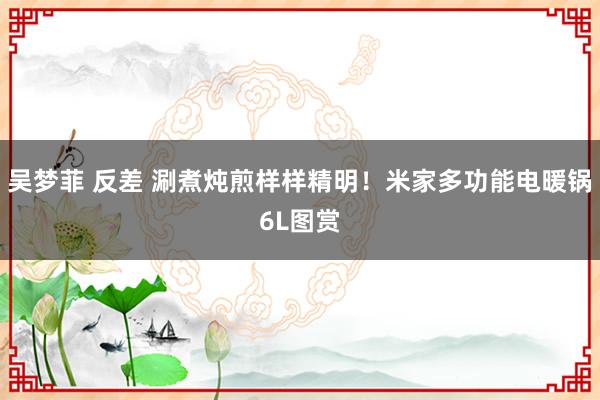 吴梦菲 反差 涮煮炖煎样样精明！米家多功能电暖锅6L图赏