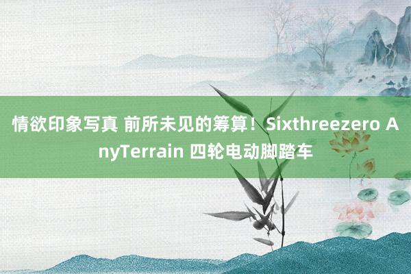 情欲印象写真 前所未见的筹算！Sixthreezero AnyTerrain 四轮电动脚踏车