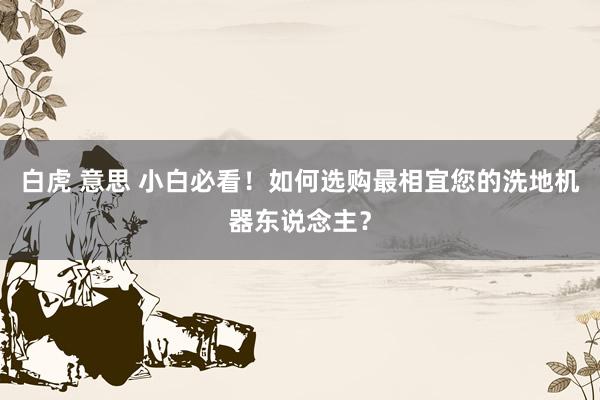 白虎 意思 小白必看！如何选购最相宜您的洗地机器东说念主？