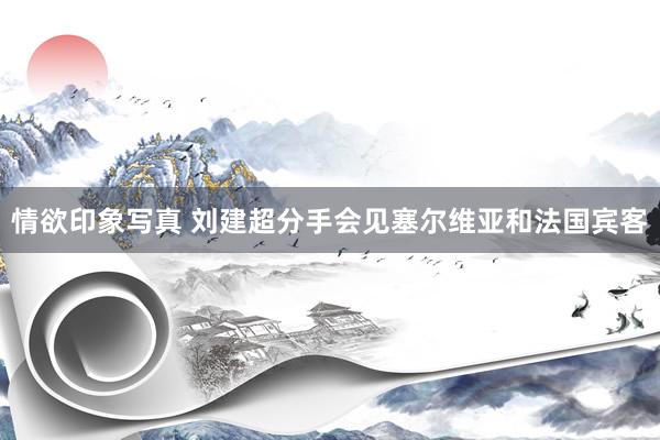 情欲印象写真 刘建超分手会见塞尔维亚和法国宾客
