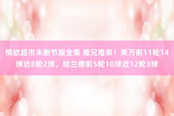 情欲超市未删节版全集 难兄难弟！莱万前11轮14球近8轮2球，哈兰德前5轮10球近12轮3球