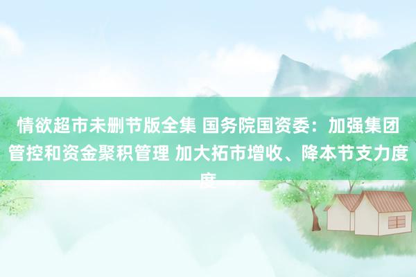 情欲超市未删节版全集 国务院国资委：加强集团管控和资金聚积管理 加大拓市增收、降本节支力度