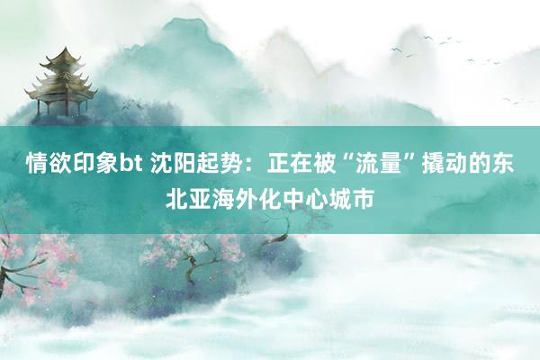情欲印象bt 沈阳起势：正在被“流量”撬动的东北亚海外化中心城市