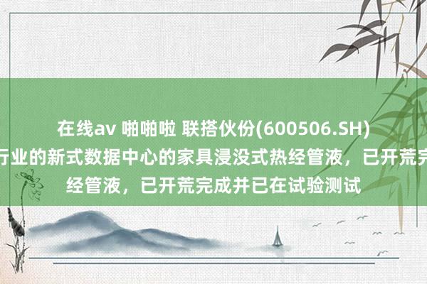 在线av 啪啪啦 联搭伙份(600506.SH)：针对碳中庸重心行业的新式数据中心的家具浸没式热经管液，已开荒完成并已在试验测试