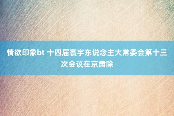 情欲印象bt 十四届寰宇东说念主大常委会第十三次会议在京肃除